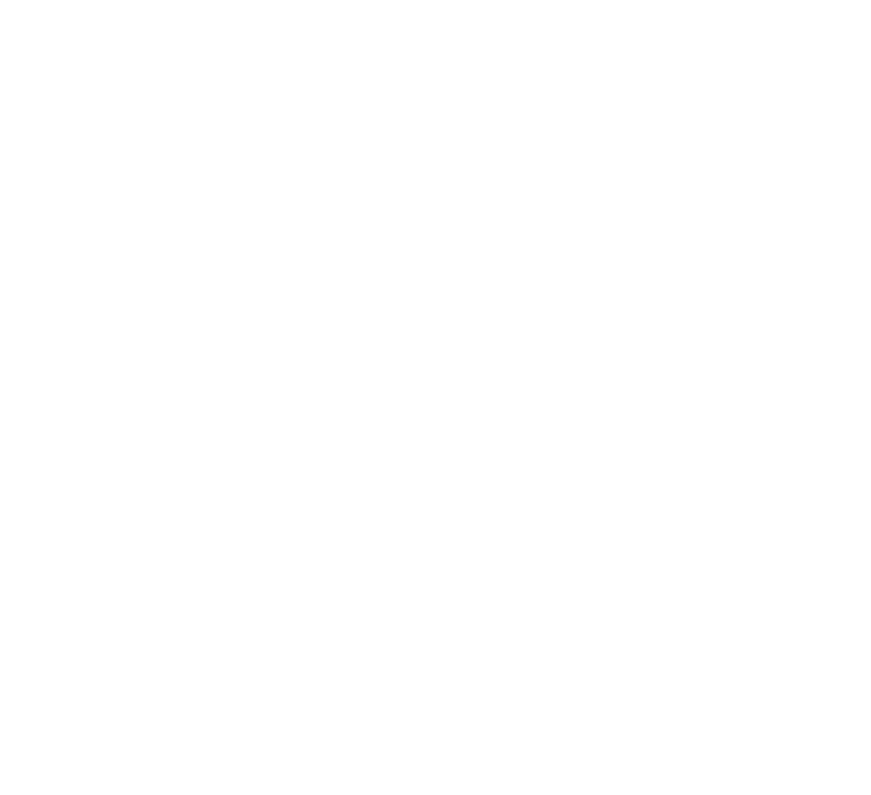 Agora é Seminaldo 13588